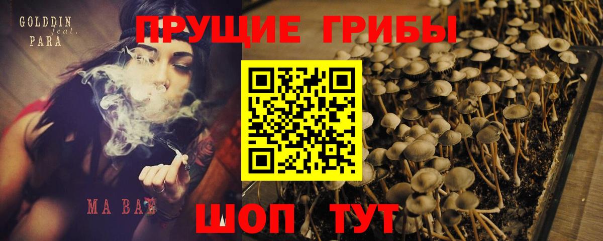 Галлюциногенные грибы ЛСД Шелехов