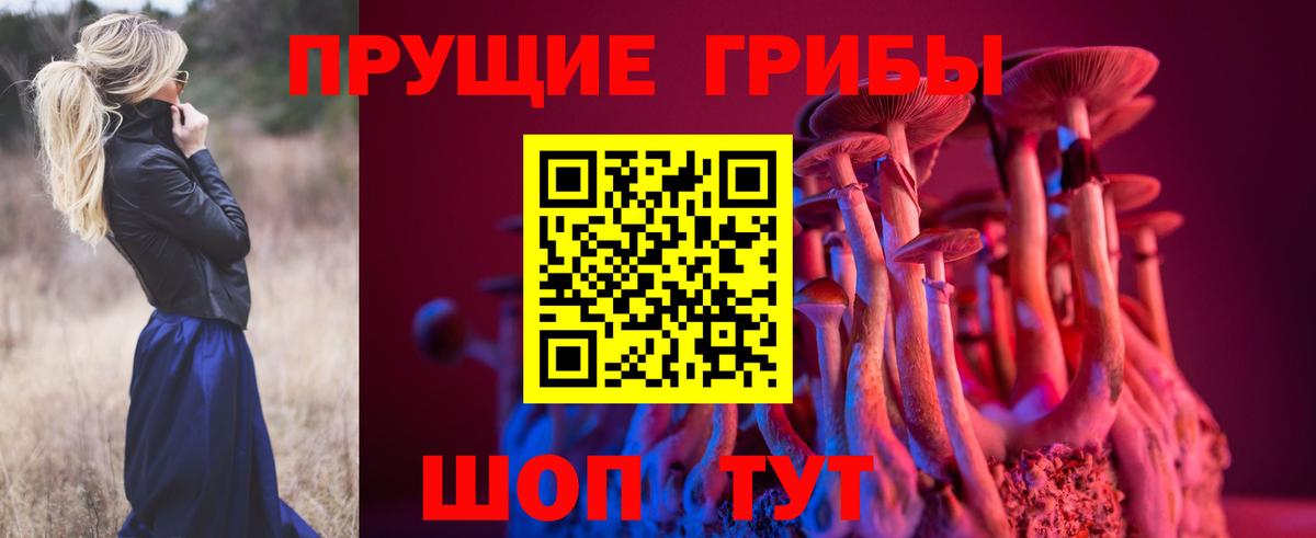 Псилоцибиновые грибы Cubensis  Вход с VPN  Псилоцибиновые грибы Psilocybe  Шелехов 